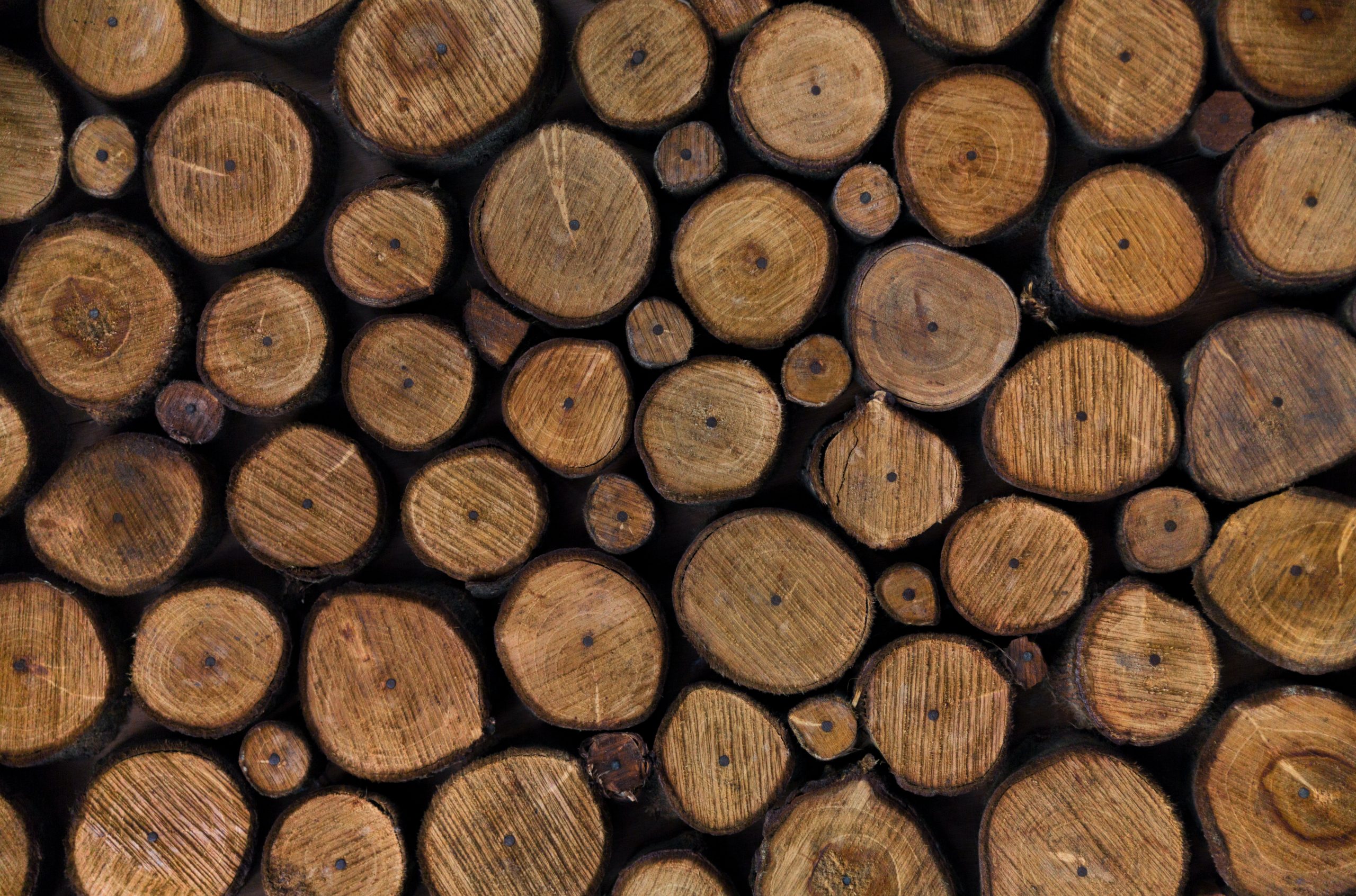 brown tree logs