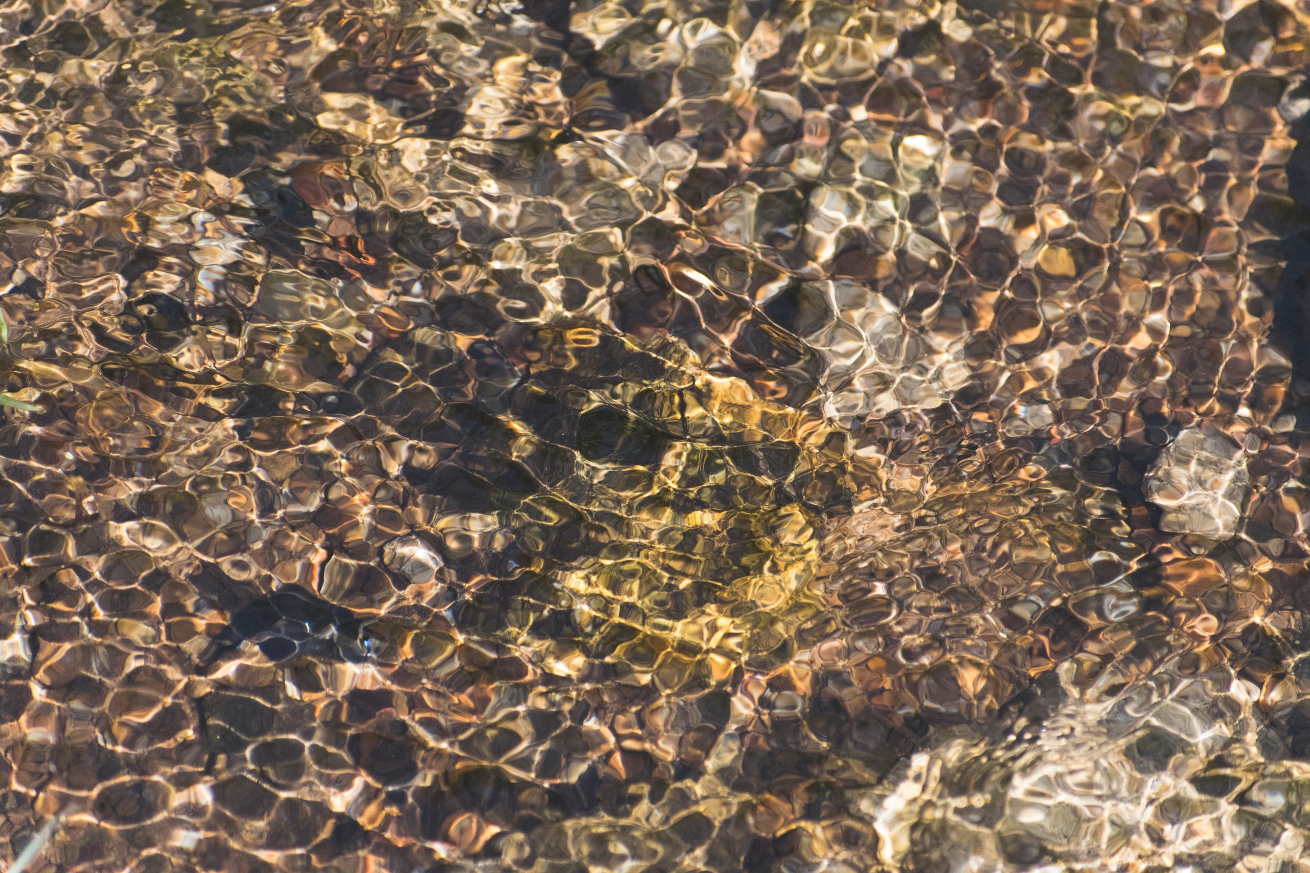 Like a mosaic of chaos, frozen in time.