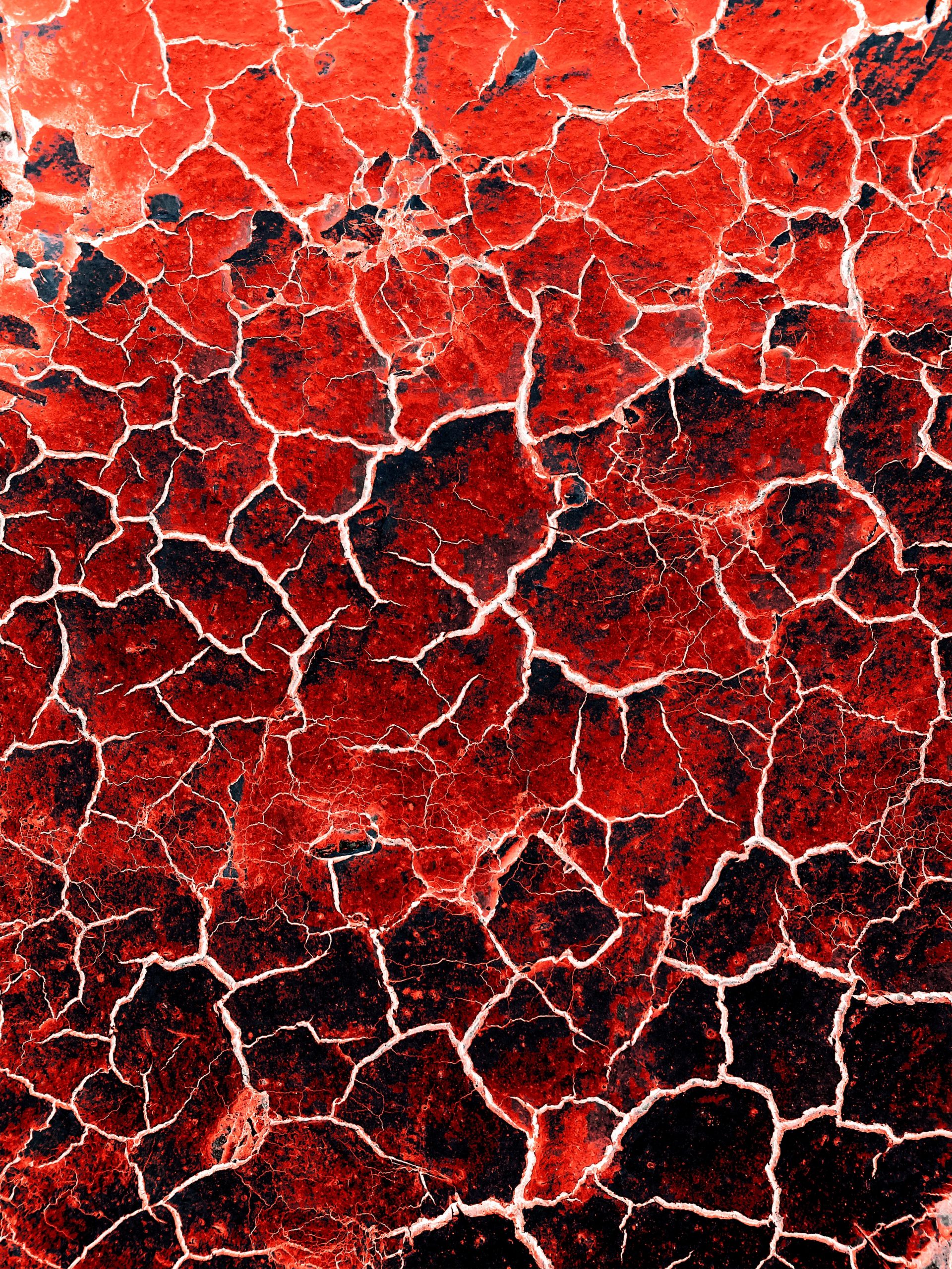 red and white abstract painting