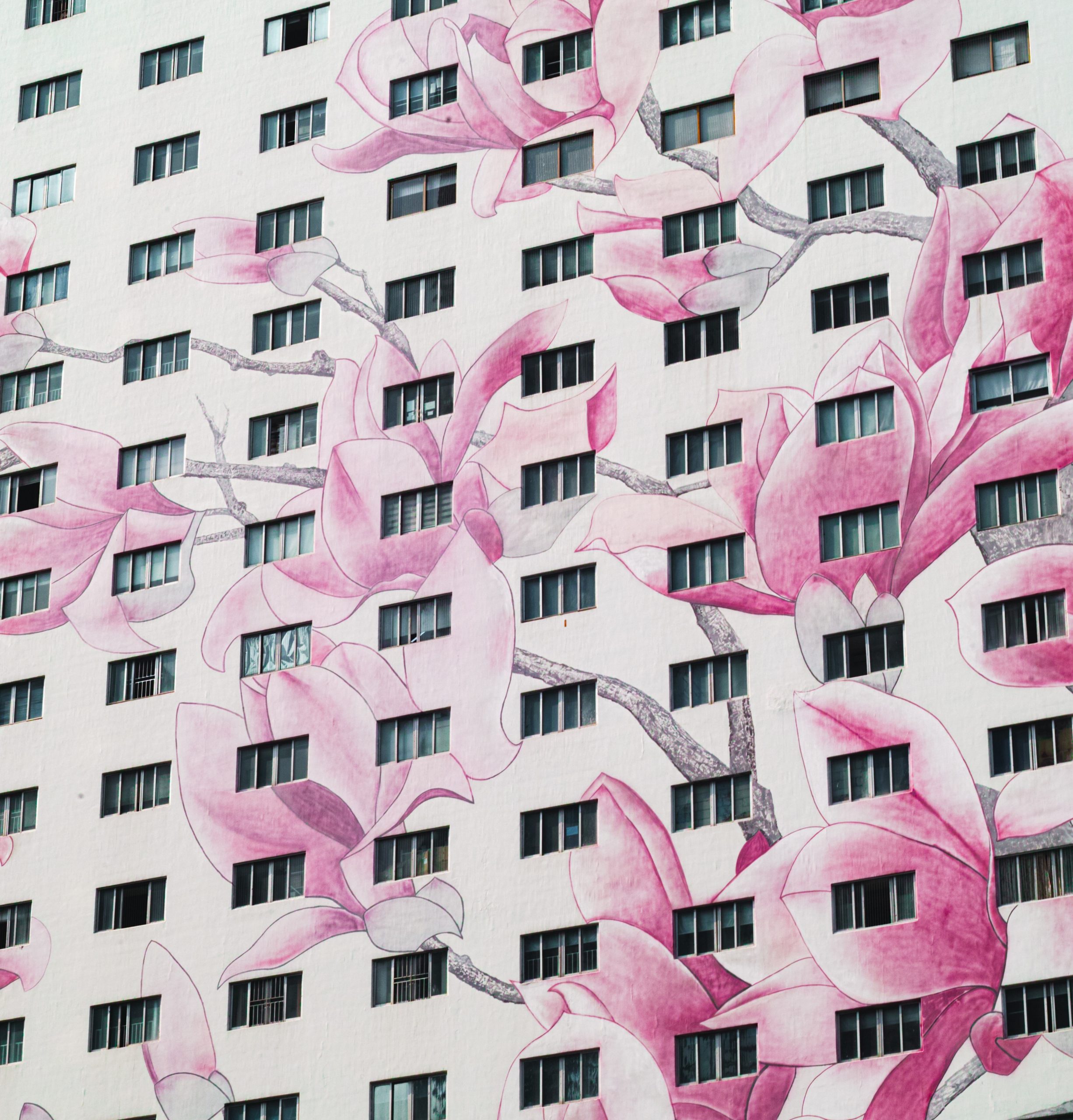 pink and white concrete building